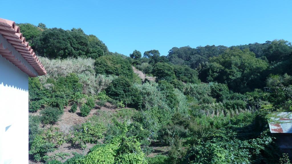 Apartament Ribeira Dos Marinheiros Azul Sintra Zewnętrze zdjęcie